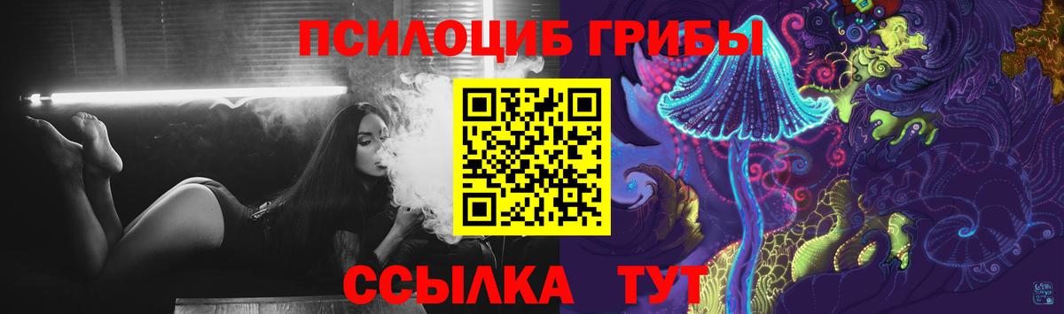 сколько стоит  Псилоцибиновые грибы Psilocybe  Вход с VPN  Нурлат 