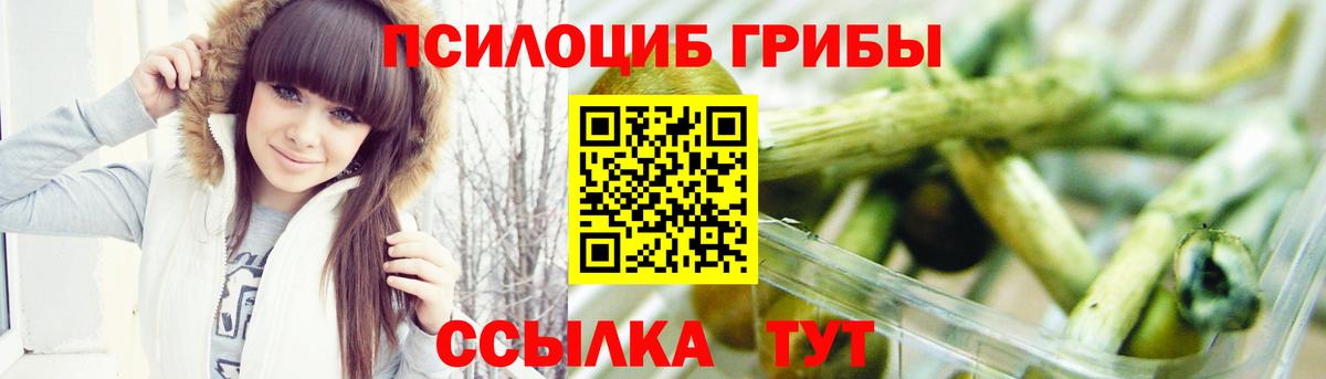 Галлюциногенные грибы Psilocybine cubensis Нурлат